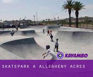 Skatepark à Allegheny Acres