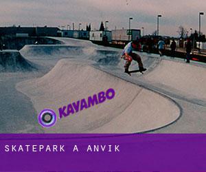 Skatepark à Anvik