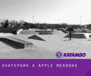 Skatepark à Apple Meadows