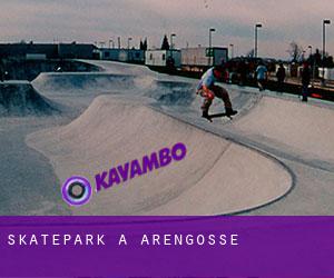 Skatepark à Arengosse