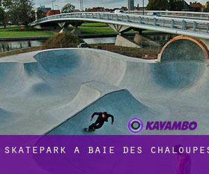 Skatepark à Baie-des-Chaloupes