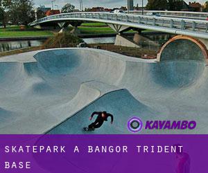 Skatepark à Bangor Trident Base