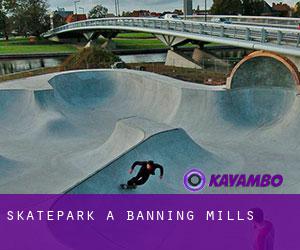 Skatepark à Banning Mills