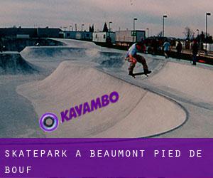 Skatepark à Beaumont-Pied-de-Bœuf
