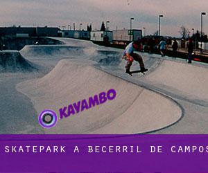 Skatepark à Becerril de Campos