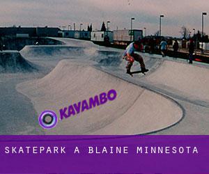 Skatepark à Blaine, Minnesota