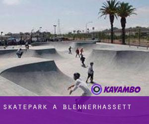 Skatepark à Blennerhassett