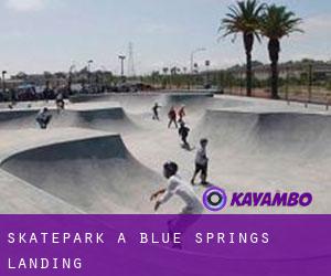 Skatepark à Blue Springs Landing