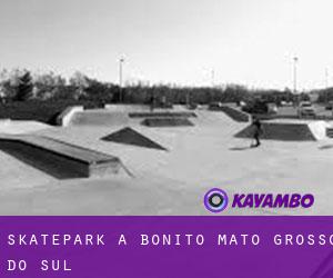 Skatepark à Bonito (Mato Grosso do Sul)