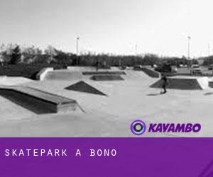 Skatepark à Bono