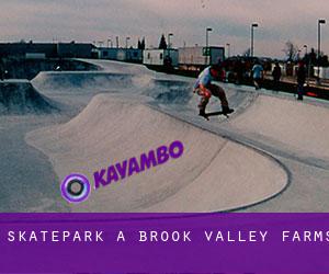 Skatepark à Brook Valley Farms