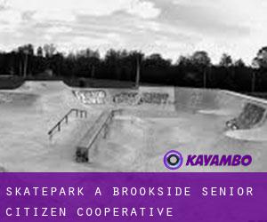 Skatepark à Brookside Senior Citizen Cooperative