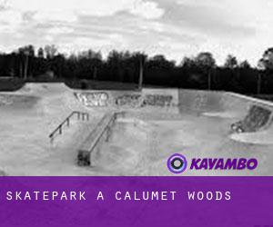 Skatepark à Calumet Woods