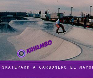 Skatepark à Carbonero el Mayor
