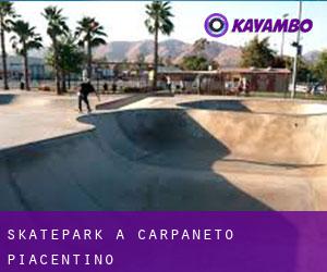 Skatepark à Carpaneto Piacentino