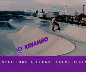 Skatepark à Cedar Forest Acres