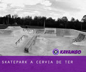 Skatepark à Cervià de Ter