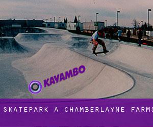 Skatepark à Chamberlayne Farms