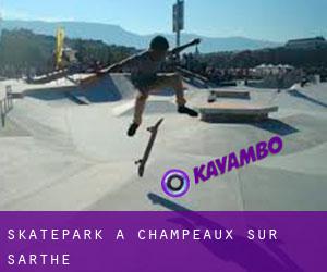 Skatepark à Champeaux-sur-Sarthe