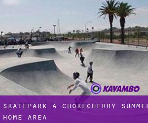 Skatepark à Chokecherry Summer Home Area
