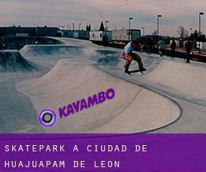 Skatepark à Ciudad de Huajuapam de León