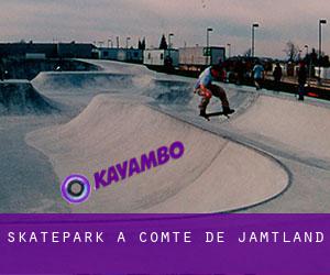 Skatepark à Comté de Jämtland