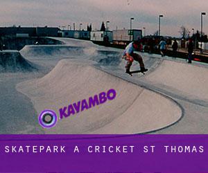 Skatepark à Cricket St Thomas