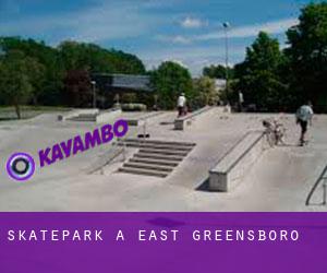 Skatepark à East Greensboro