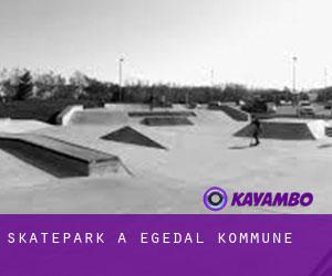 Skatepark à Egedal Kommune
