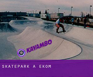 Skatepark à Ekom