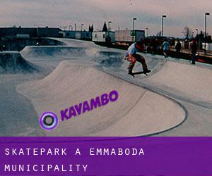 Skatepark à Emmaboda Municipality