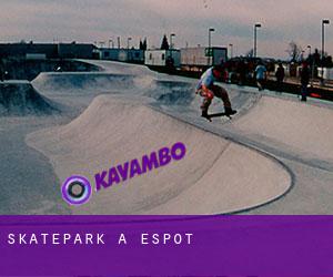 Skatepark à Espot