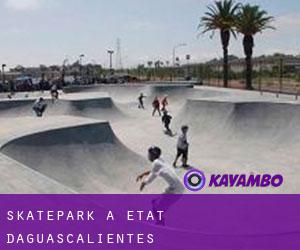 Skatepark à État d'Aguascalientes