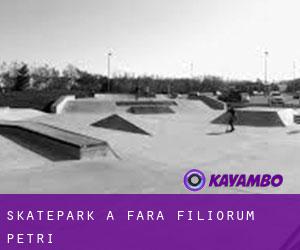 Skatepark à Fara Filiorum Petri