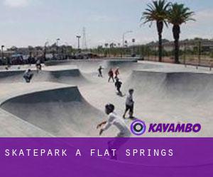 Skatepark à Flat Springs
