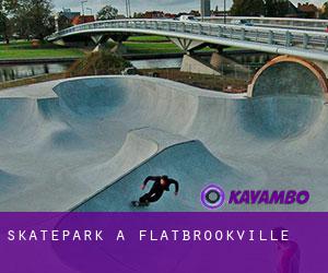 Skatepark à Flatbrookville