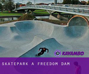 Skatepark à Freedom Dam
