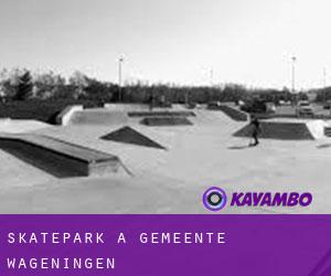 Skatepark à Gemeente Wageningen