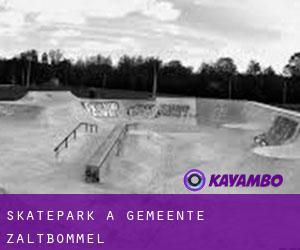 Skatepark à Gemeente Zaltbommel