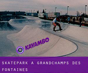 Skatepark à Grandchamps-des-Fontaines