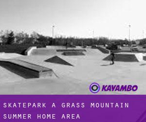 Skatepark à Grass Mountain Summer Home Area