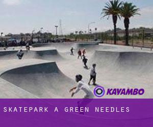 Skatepark à Green Needles