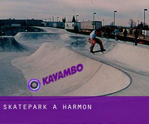 Skatepark à Harmon