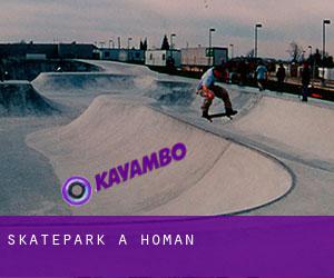 Skatepark à Homan