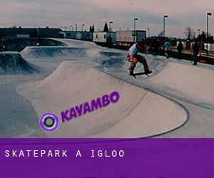 Skatepark à Igloo