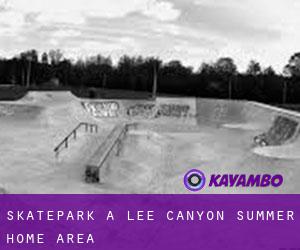 Skatepark à Lee Canyon Summer Home Area