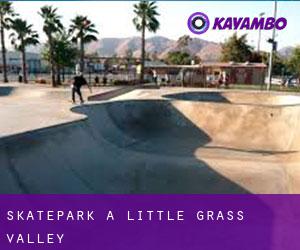 Skatepark à Little Grass Valley