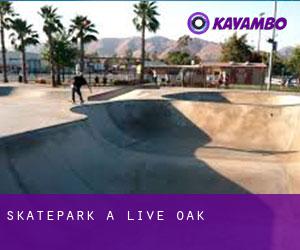 Skatepark à Live Oak