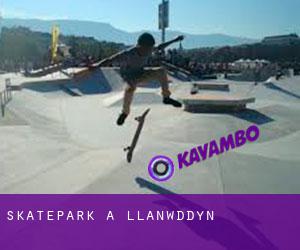 Skatepark à Llanwddyn