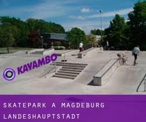 Skatepark à Magdeburg Landeshauptstadt
